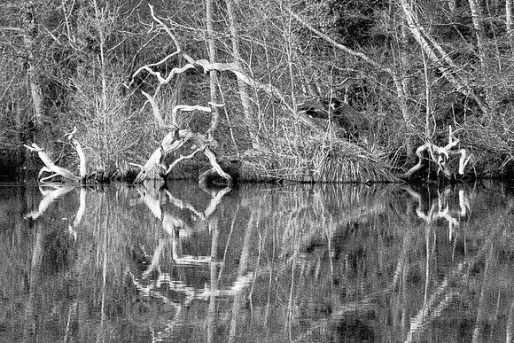 Still Waters